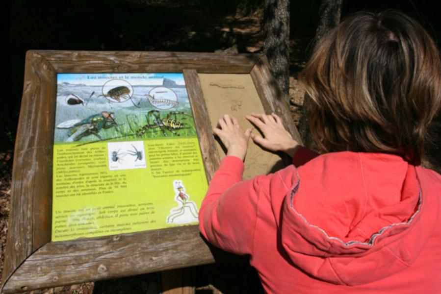 Panneau faune flore étang de Fontmerle Mougins