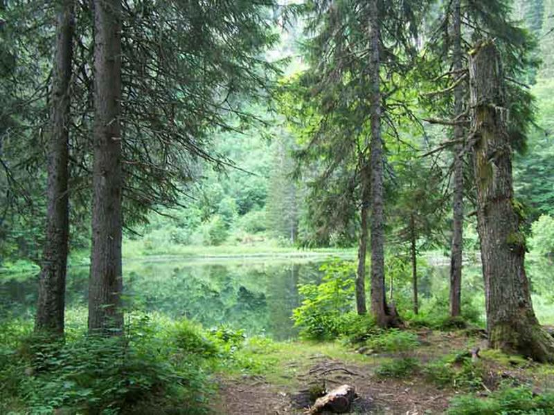 Lac de Petétoz_Bellevaux