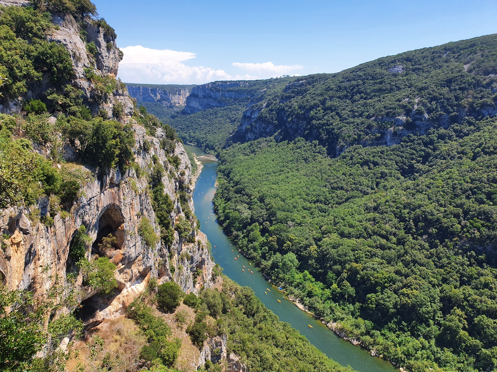 8f1c8cdfd6029a064db1d01cc7f490bf