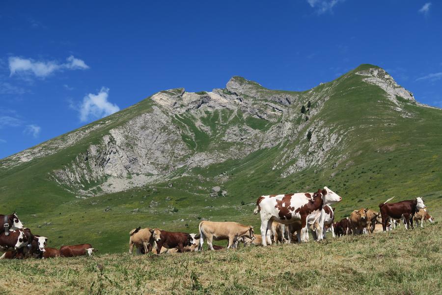 Randonnée pédestre : Tour du Char des Quais_La Côte-d'Arbroz