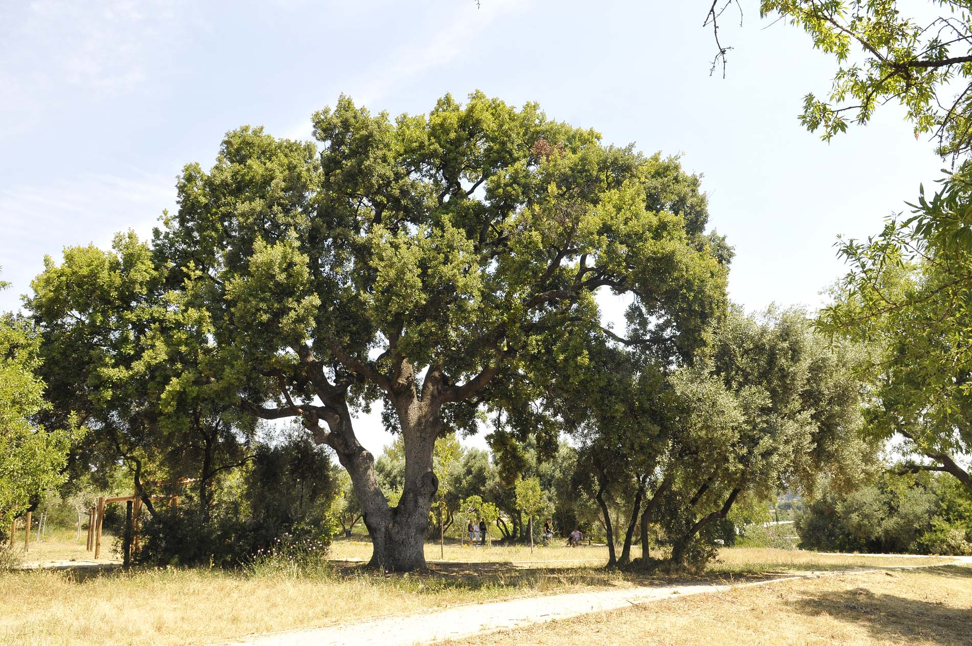 Parc champêtre - Ville de Marseille