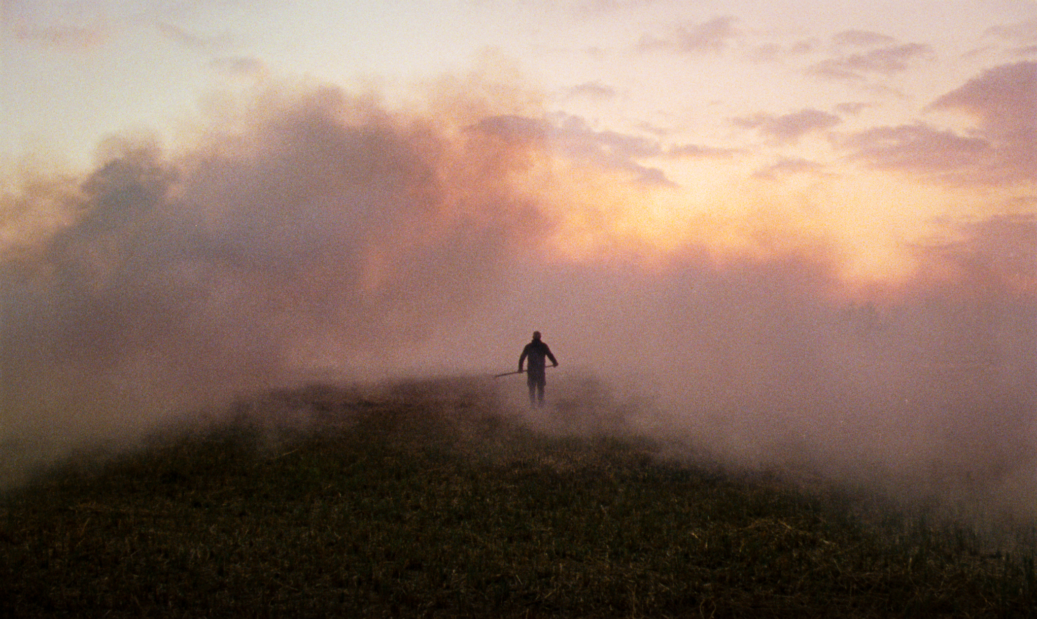 Reedland – La perle du mois