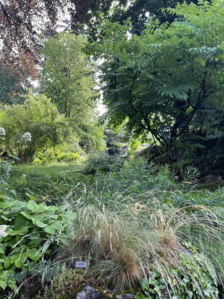 Jardin Botanique La Jaysinia - Visite Groupe