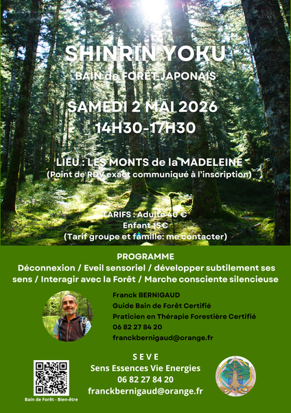 Bain de Forêt Japonais_Renaison