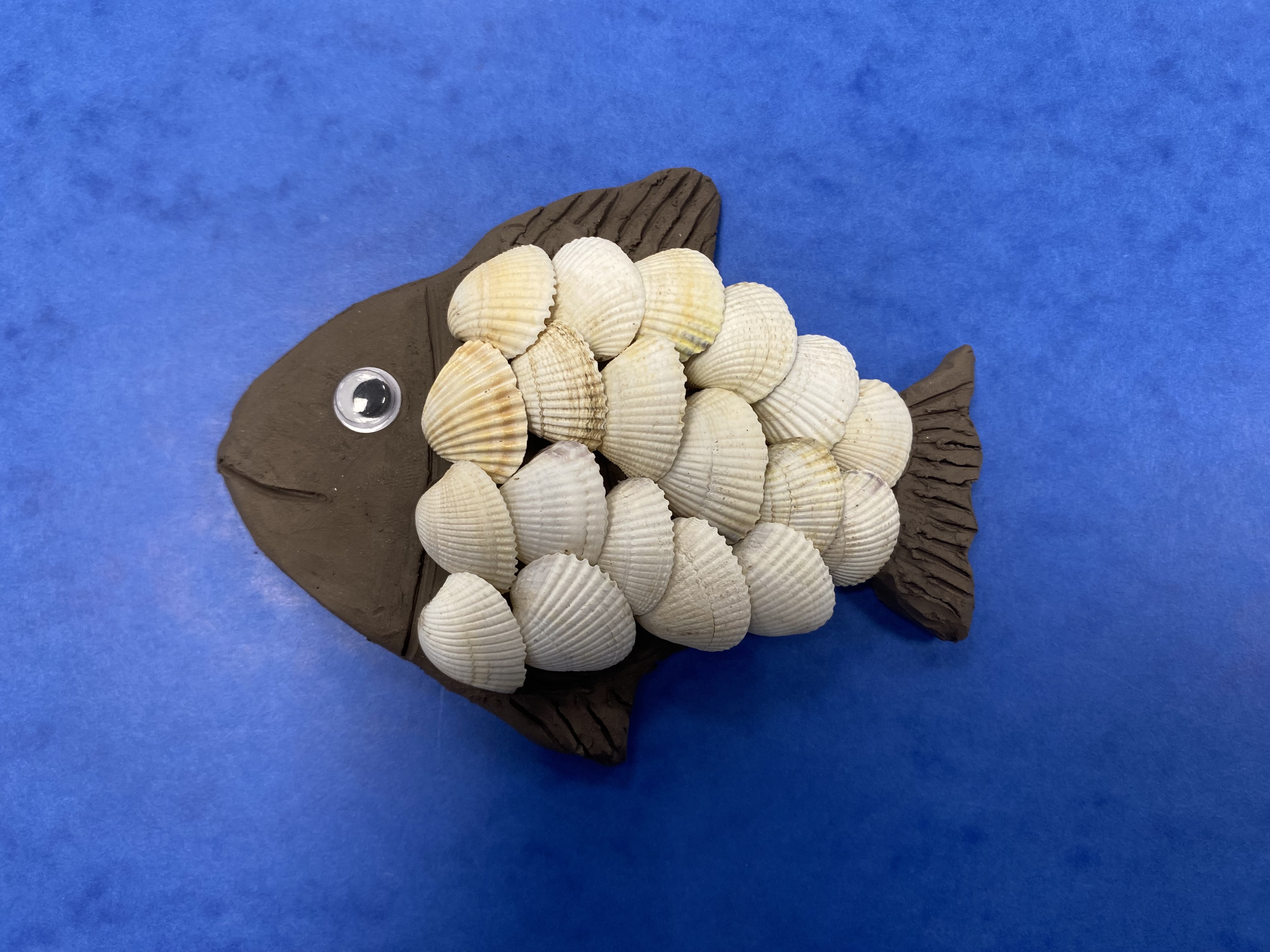 Écailles et coquillages_Villages du lac de Paladru