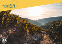 Rando Wine au Domaine Gaillard_Malleval