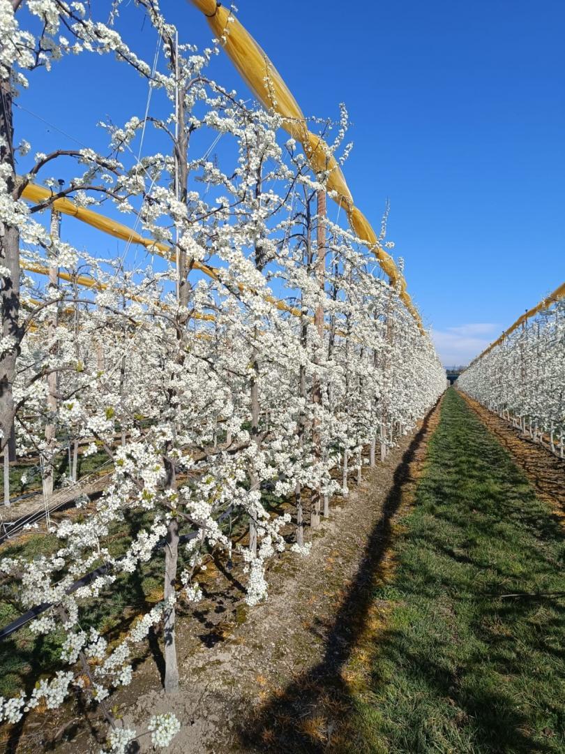 Gîte du Grand Mas, Noves - photo 6