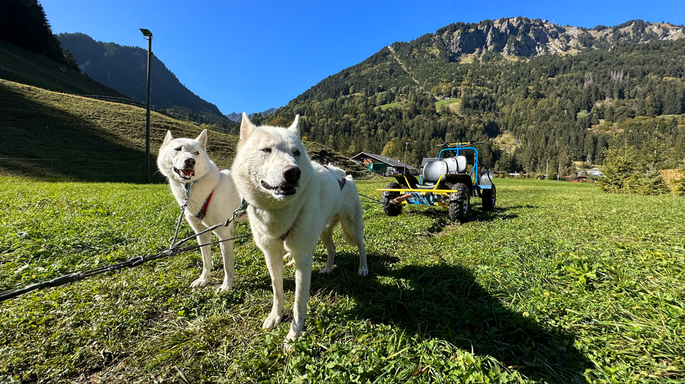 Mushing'EXPERIENCE_Champéry
