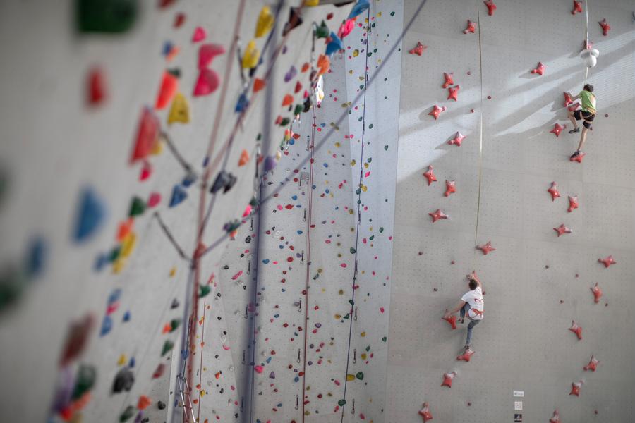 Championnat de France d'escalade