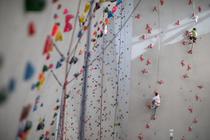 Championnat de France d'escalade