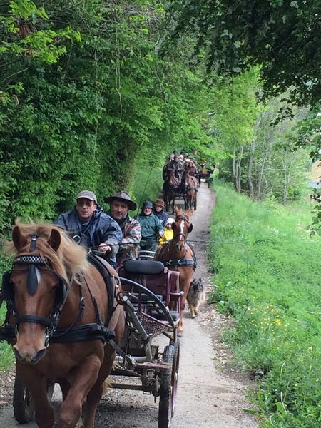 En attelage sur les sentiers de Mandrin