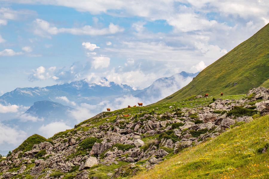 Dans la montée du col d'emy. Dans la montée du col d'emy.