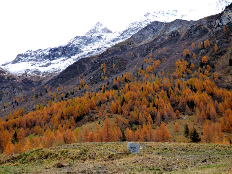 sentier lecture de paysage