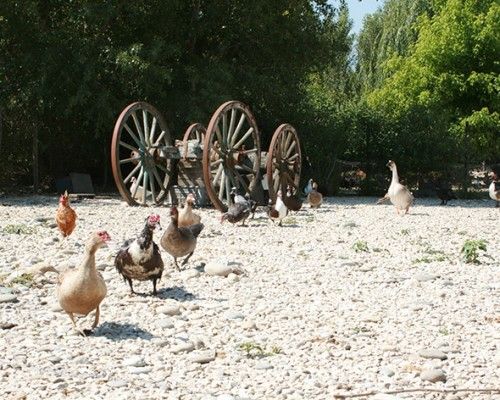 La Bastide neuve villelaure