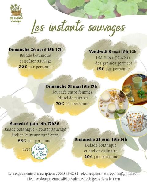 Balade botanique et goûter sauvage