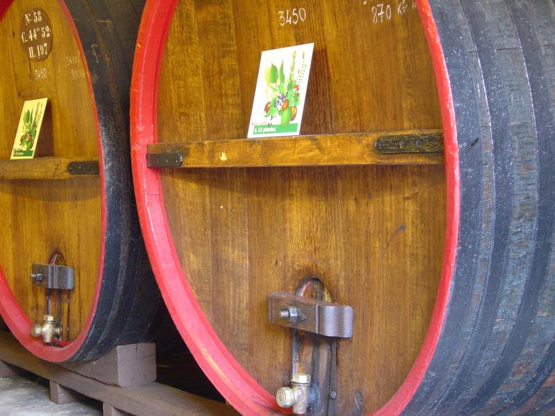 Les foudres en chêne