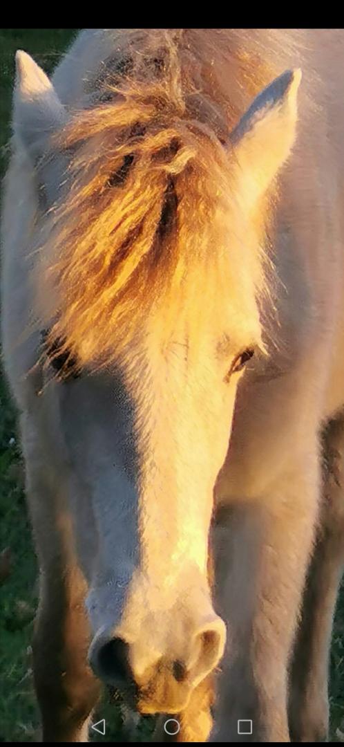 Gîte du Grand Mas du Roy, Arles - photo 20