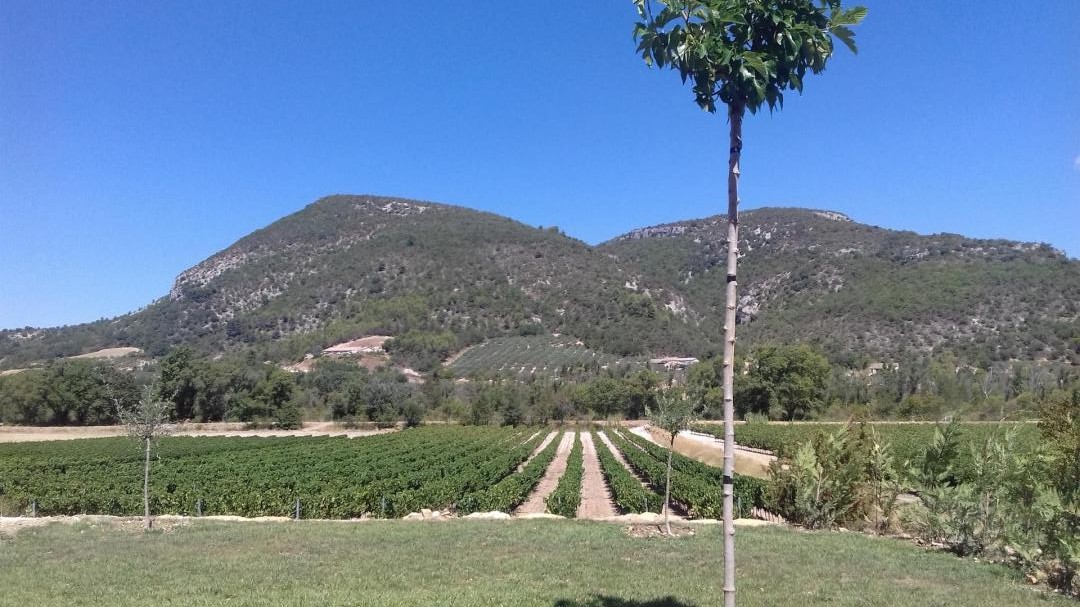 Le joli panorama du gîte avec vue dégagée sur les champs et la nature environnante