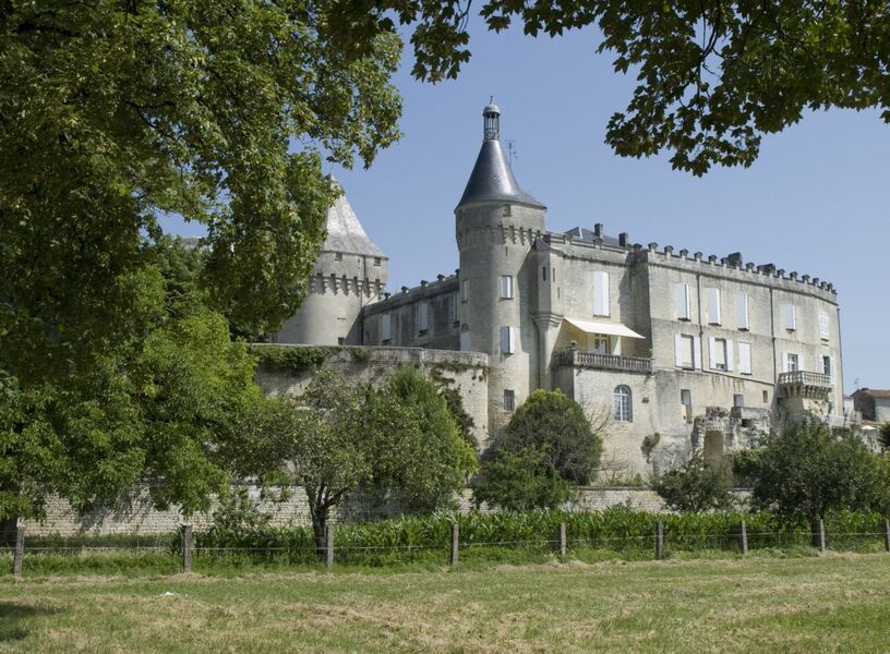 ch-teau-de-jonzac-jonzac-17500-sites-et-monuments-historiques