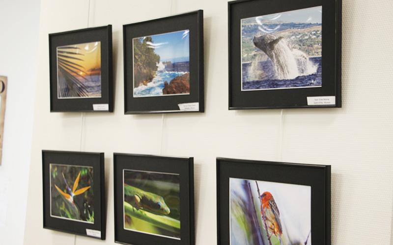 Photo de l'exposition