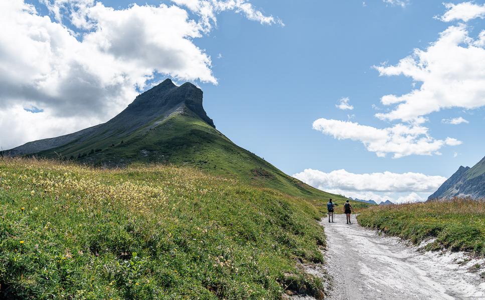 Boucle pédestre des Bénés_Cordon