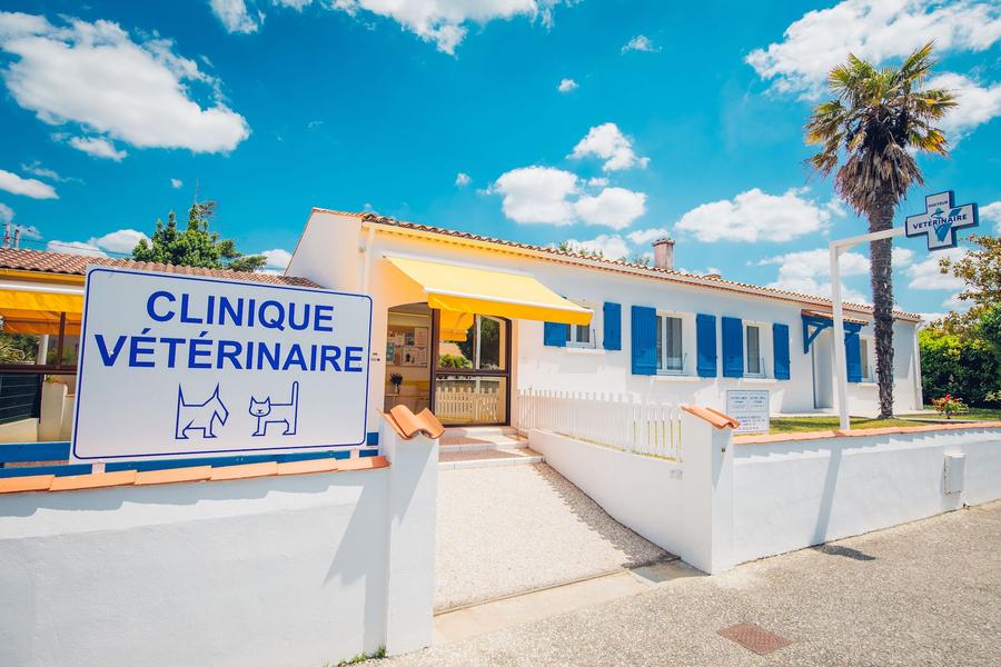 Cabinet Vétérinaire Médico-Chirurgical Anima