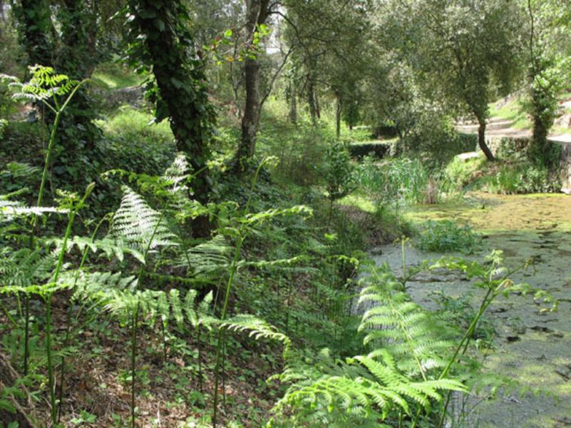 Forêt Départementale de la Valmasque Mougins
