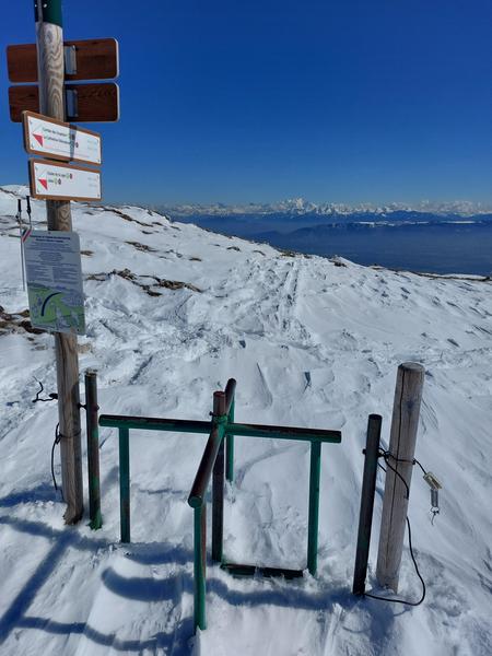 Sentier raquettes de Lélex au Crêt de la Neige_Lélex