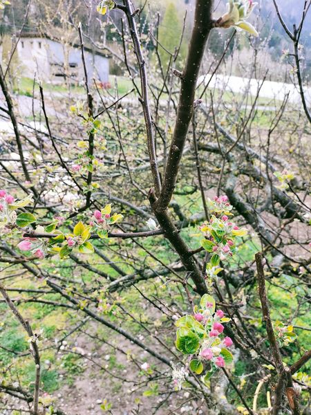 val des près val des près
