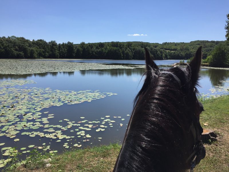 Randonnées à cheval en CAPI