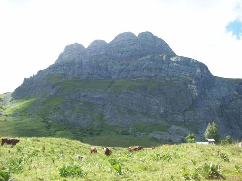 sentier pédestre : sentier forestier de Mayères