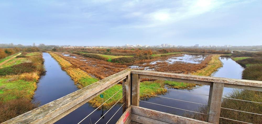 La vue sur le marais de Tasdon depuis le haut d'un mirador.