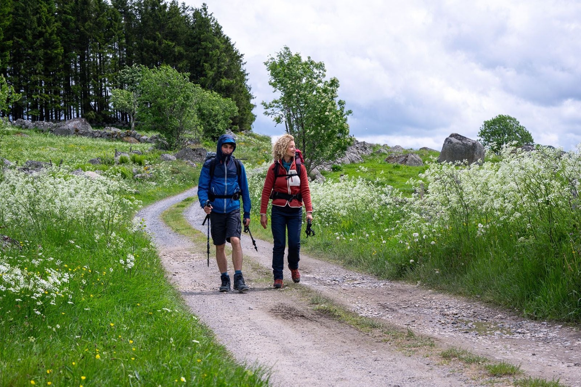 Cinéma | "Compostelle"