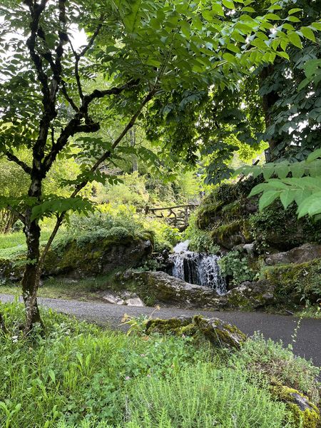 Jardin Botanique La Jaysinia - Visite Groupe