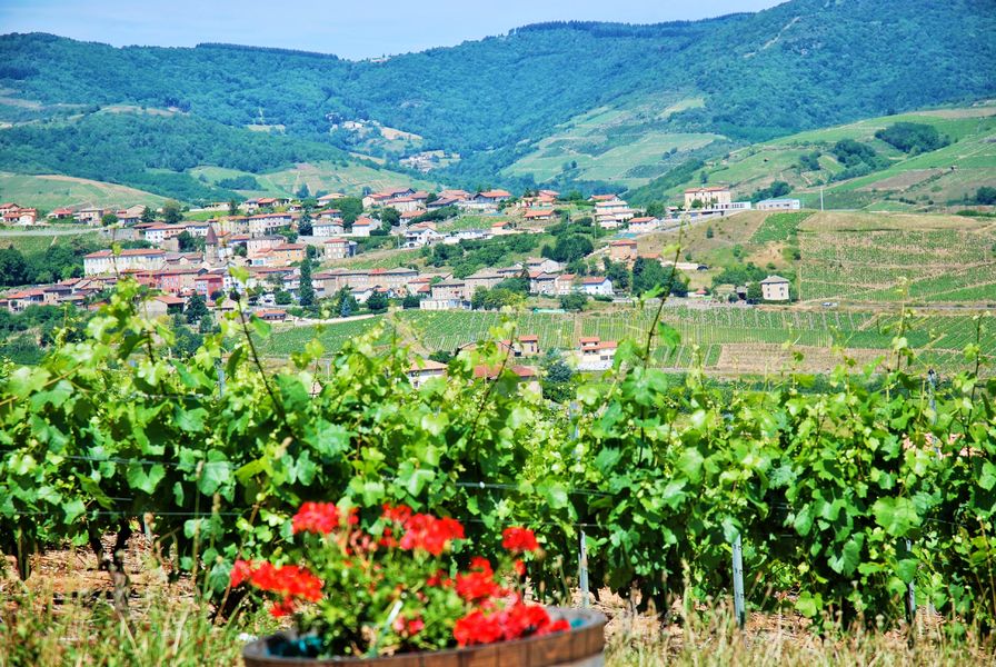 la vue du studio chocolat pistache
