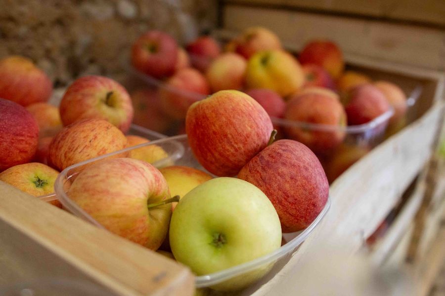 Le potager du Paradis