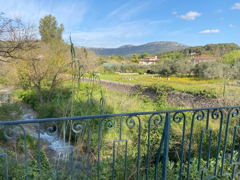 Visite guidée : à la découverte du terroir cuersois_Cuers