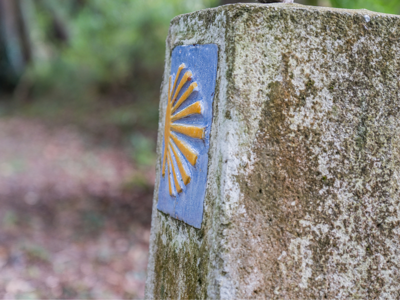 Nos aïeux sont-ils allés à Compostelle?_Chazelles-sur-Lyon