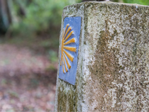 Nos aïeux sont-ils allés à Compostelle?_Chazelles-sur-Lyon