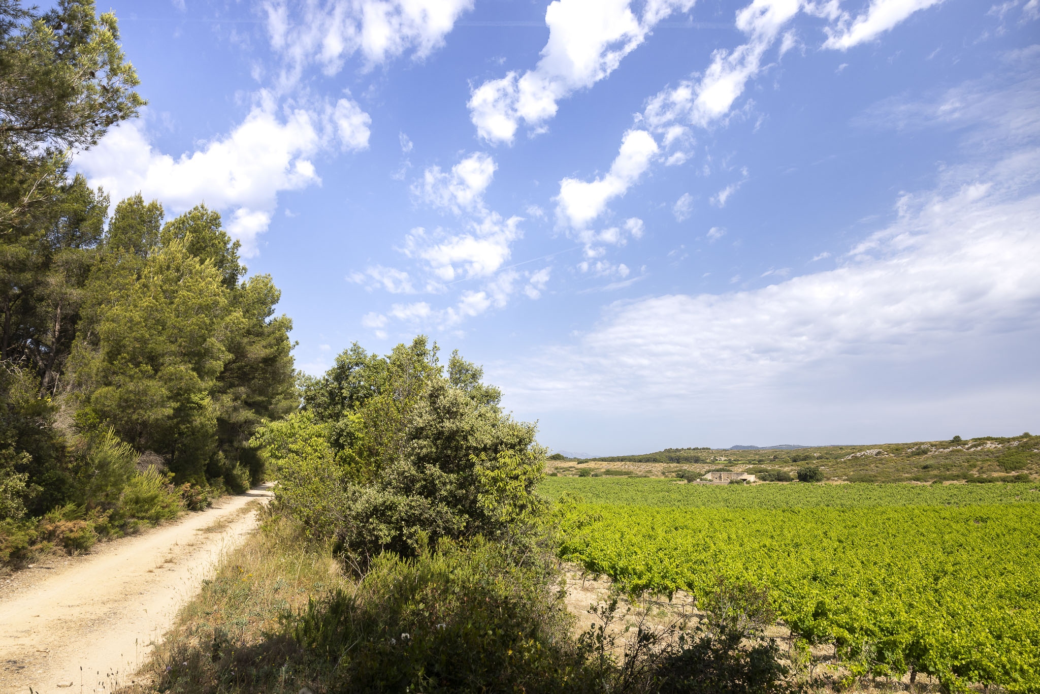 Parcours Pédestre au Domaine La Cadenière