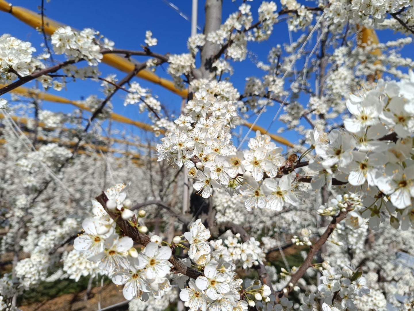 Gîte du Grand Mas, Noves - photo 13