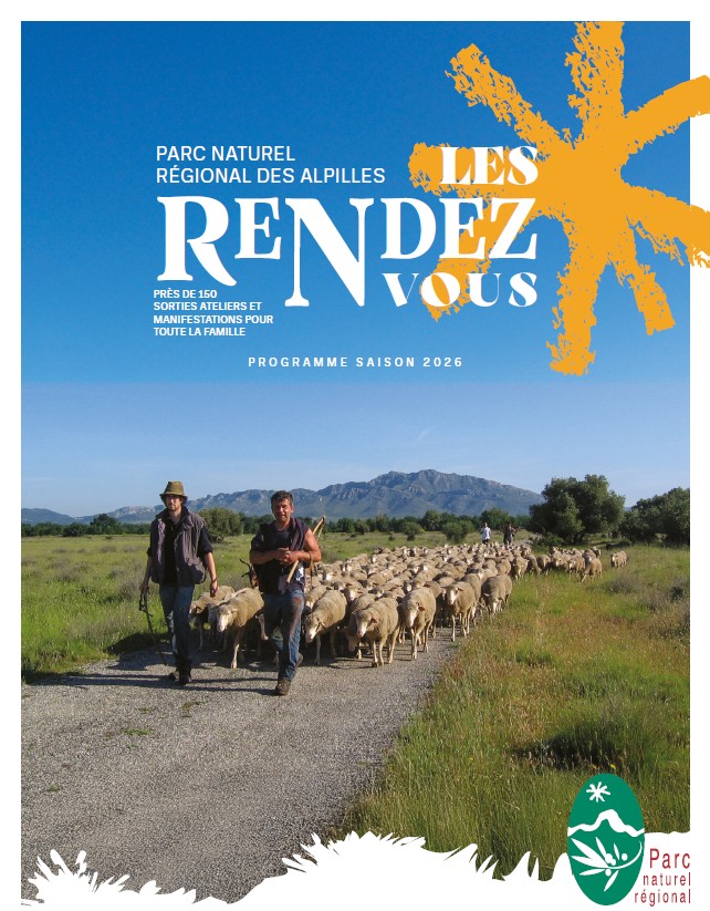 Visite gourmande : Les amandes des Alpilles
