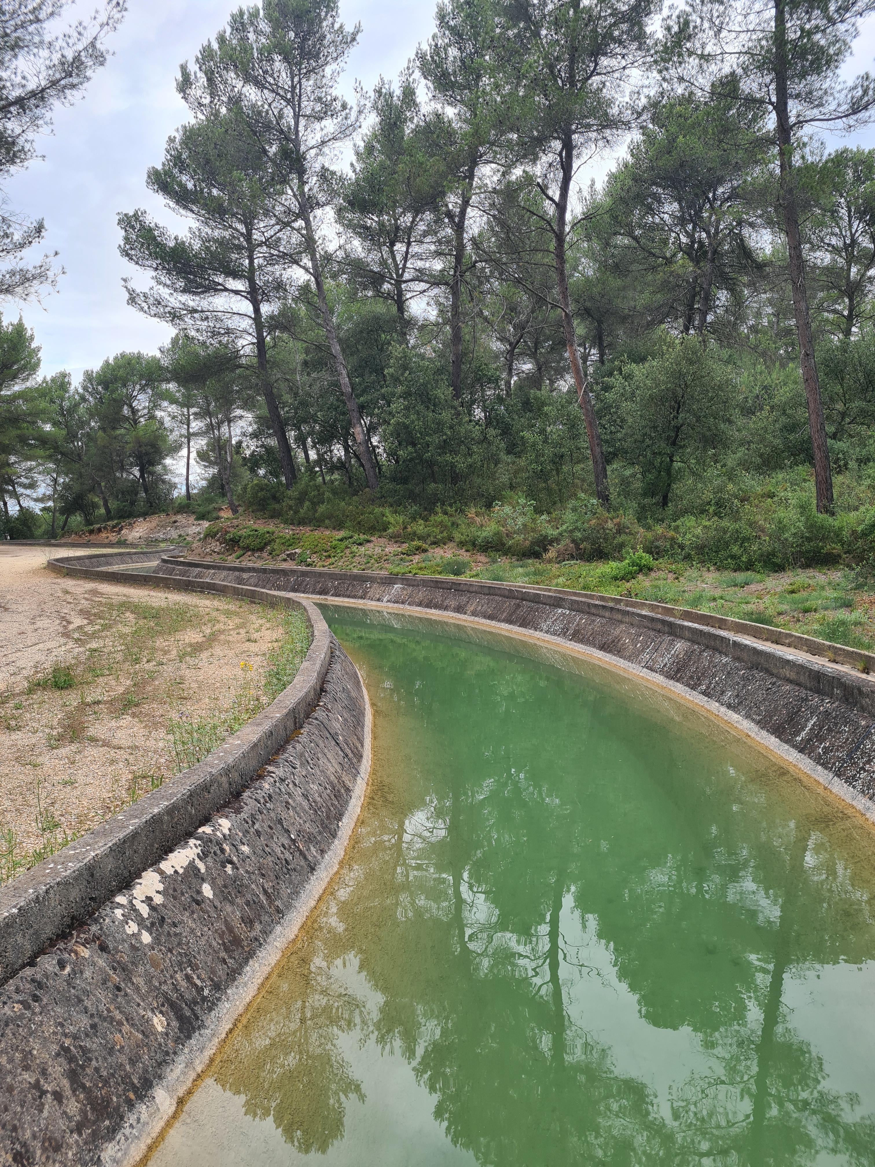 Sentier du Bois du Verdillon, Gardanne - photo 3