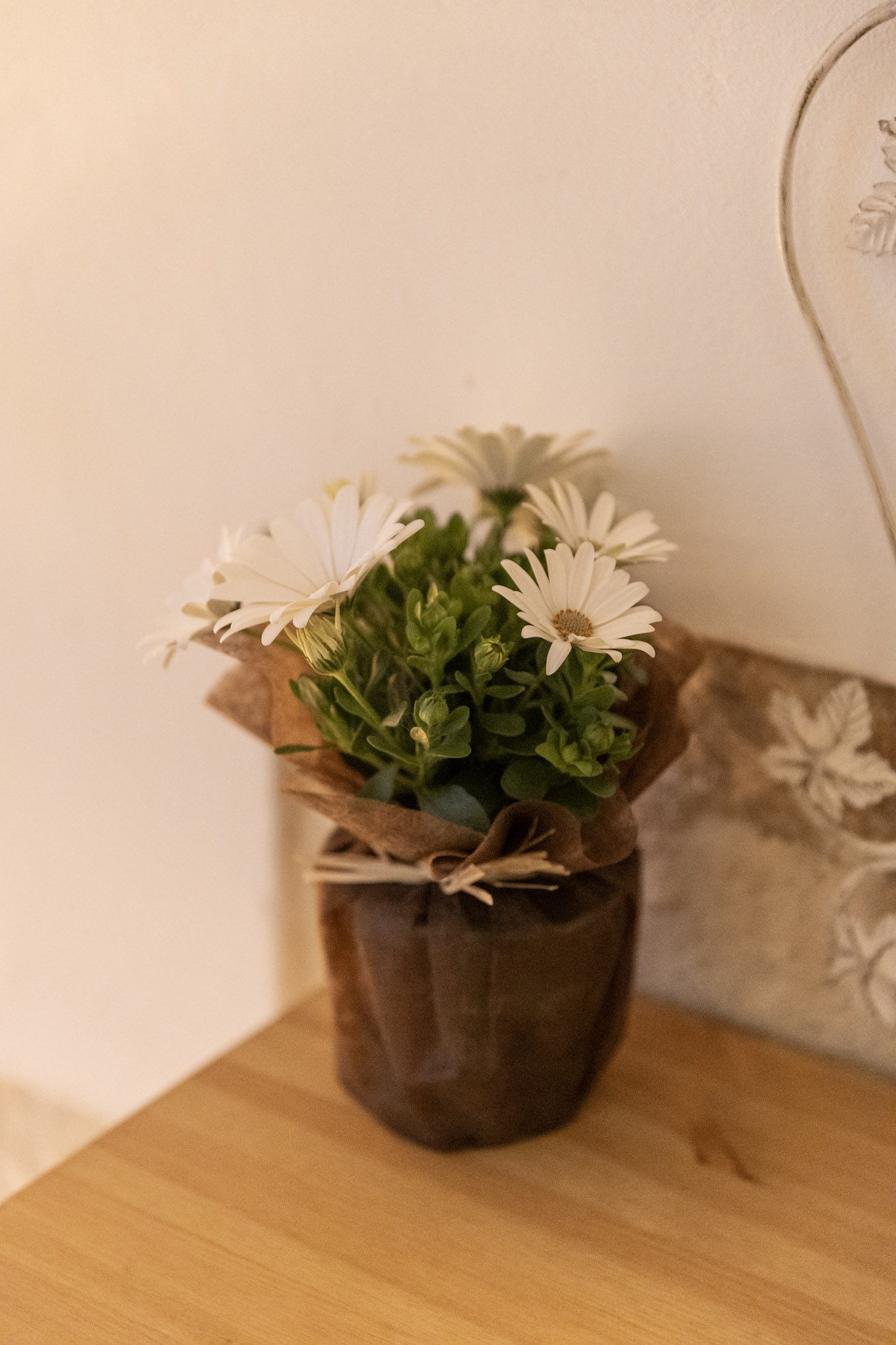 Instant en Provence La Bastide, Eyragues - photo 14