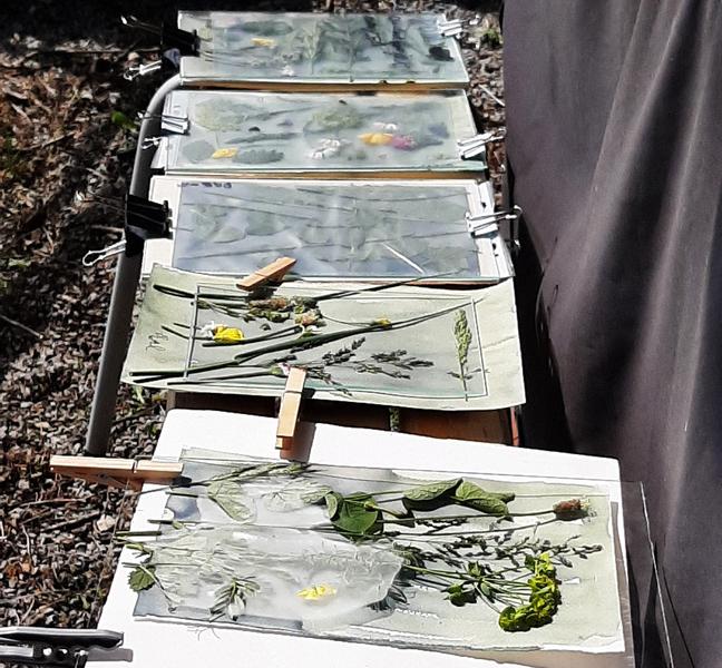 Atelier La vie en bleue