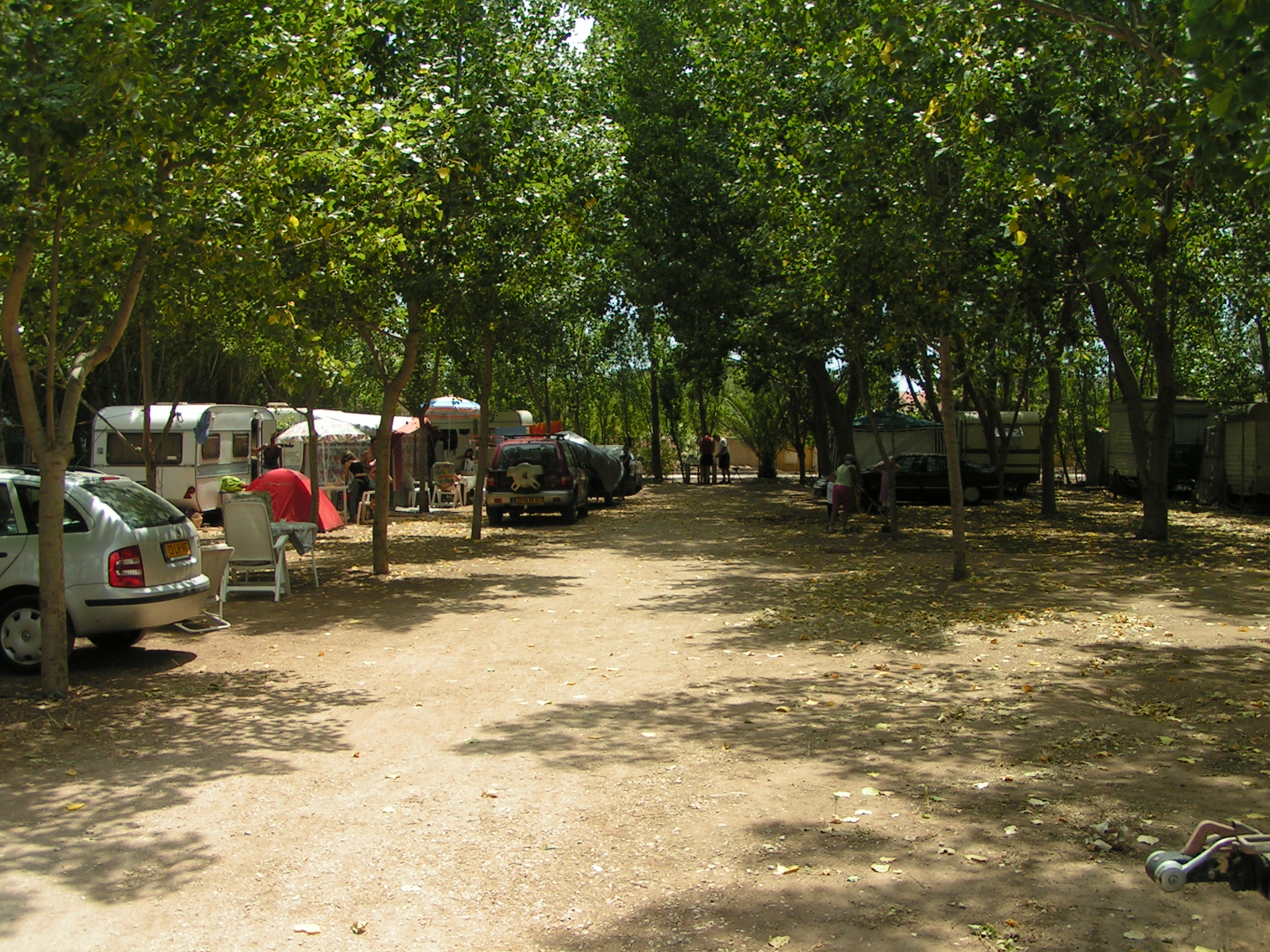 Les Colonnes — photo 5