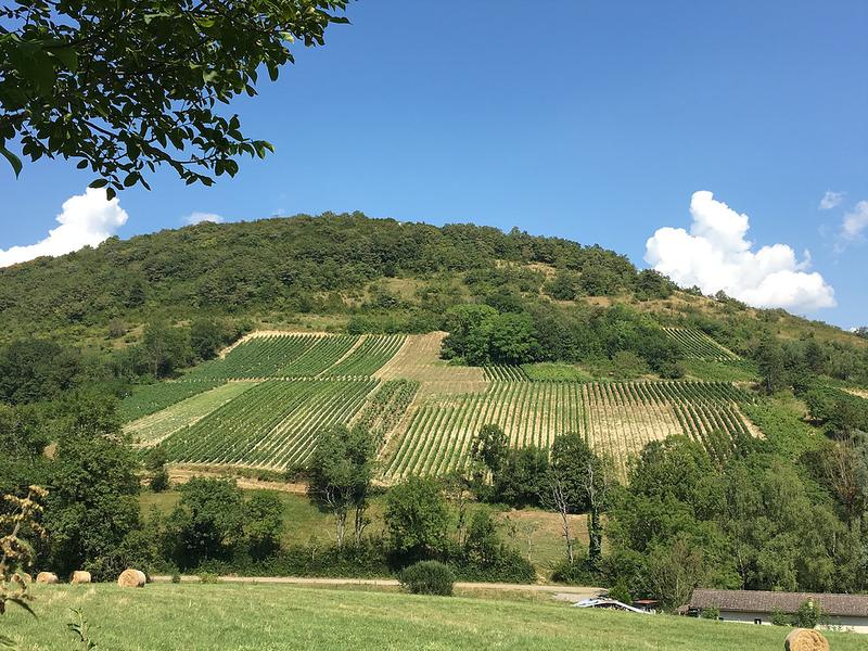 Domaine de la Dentelle_St Martin du Mont