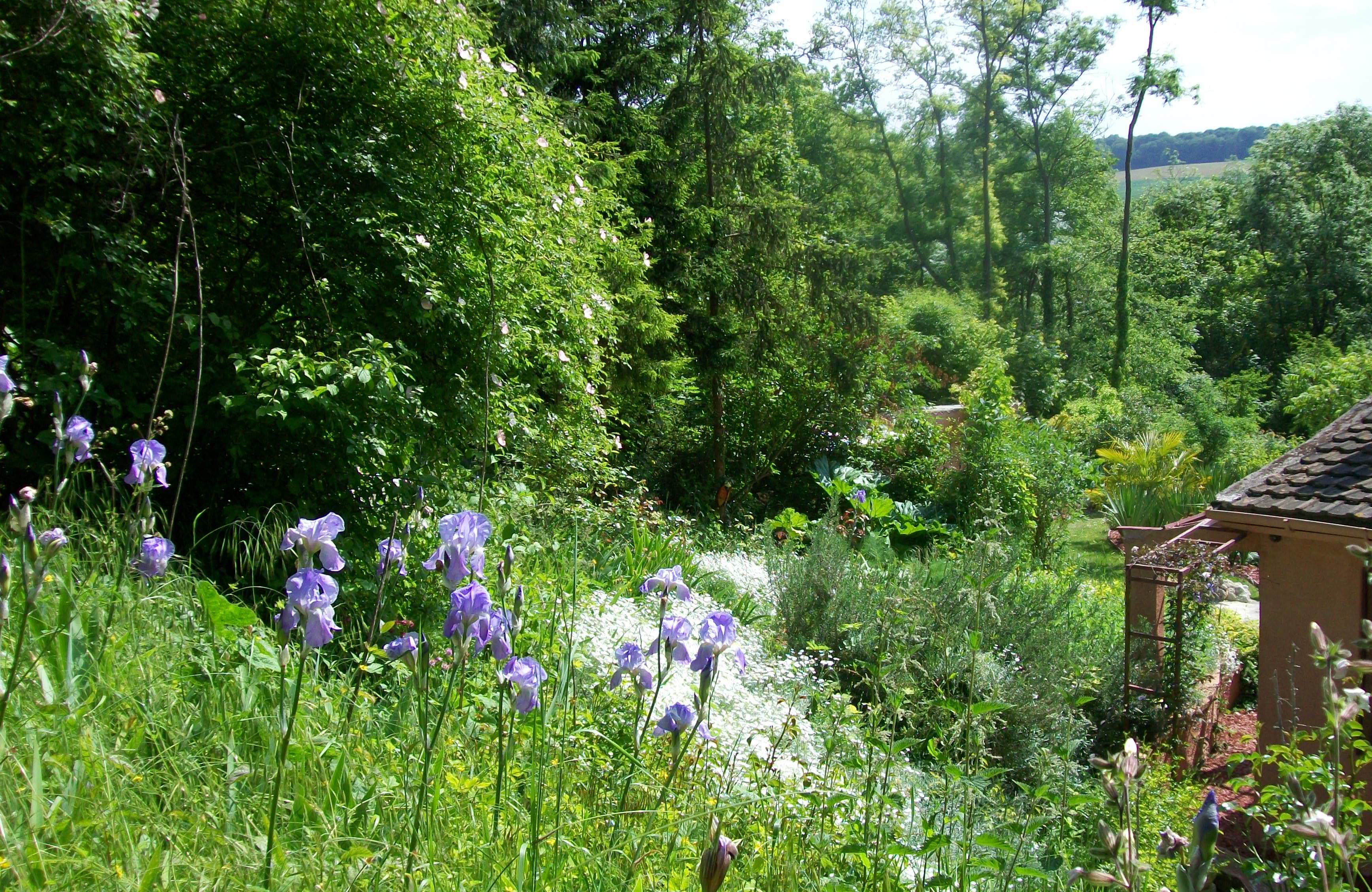 Roseraie du Clos Paradénia 2