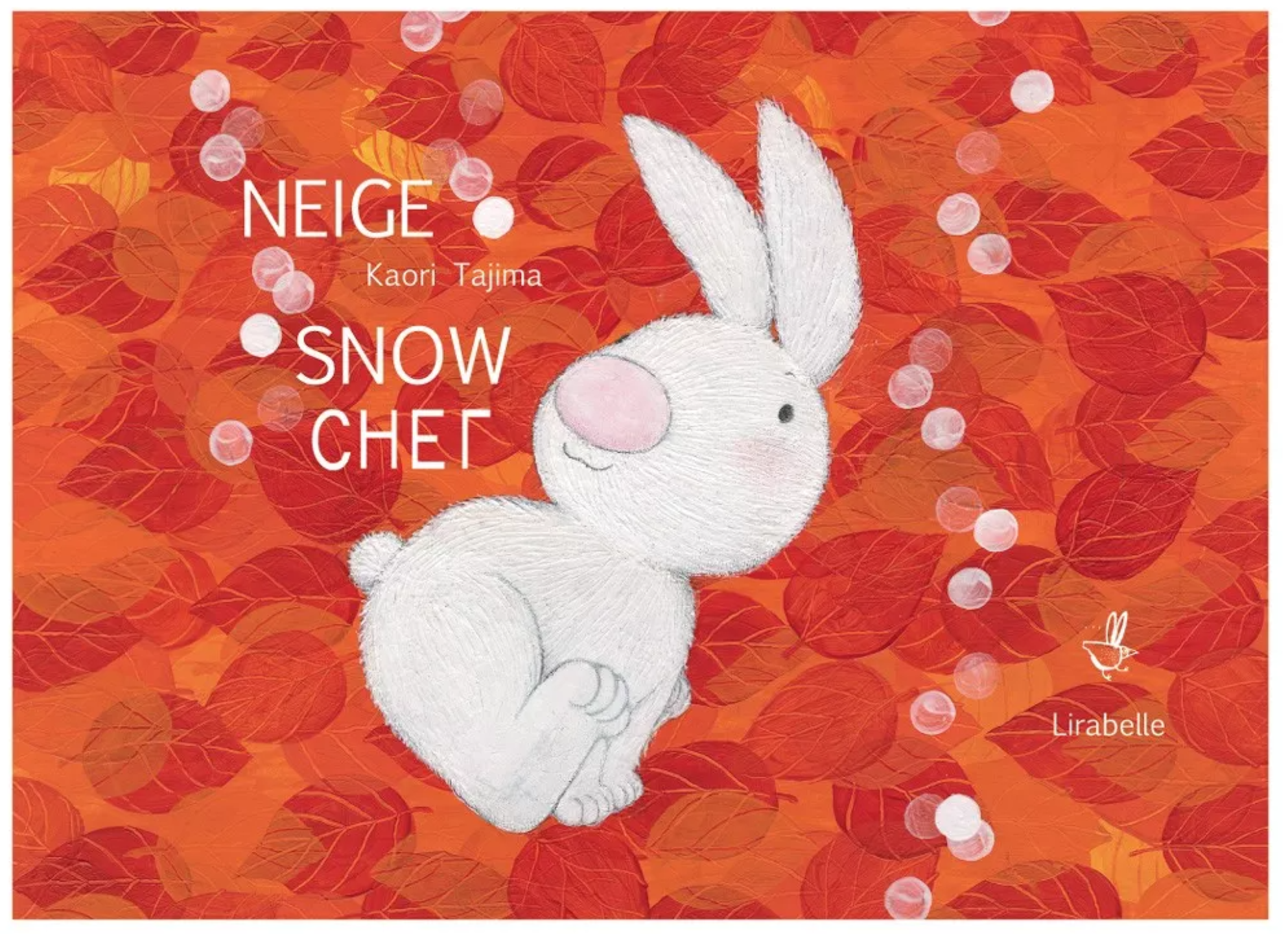 En janvier à la Médiathèque, Tarascon - photo 3