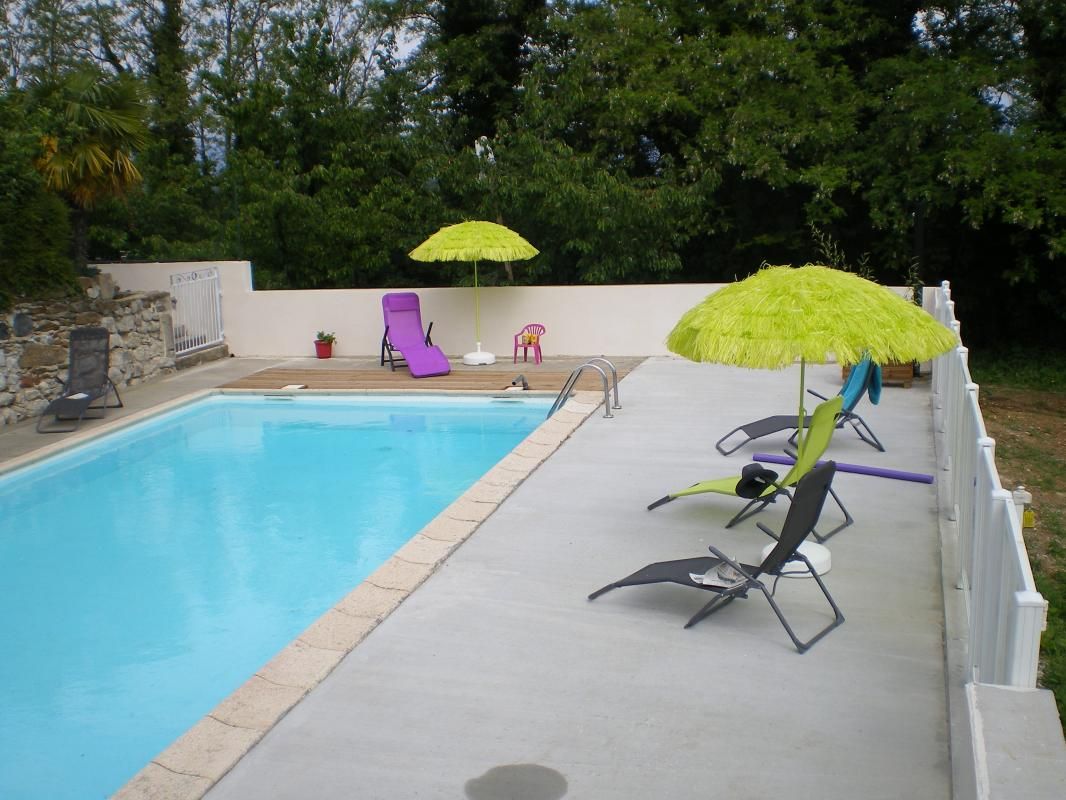 Piscine 10 m x 5 m, entourée de verdure